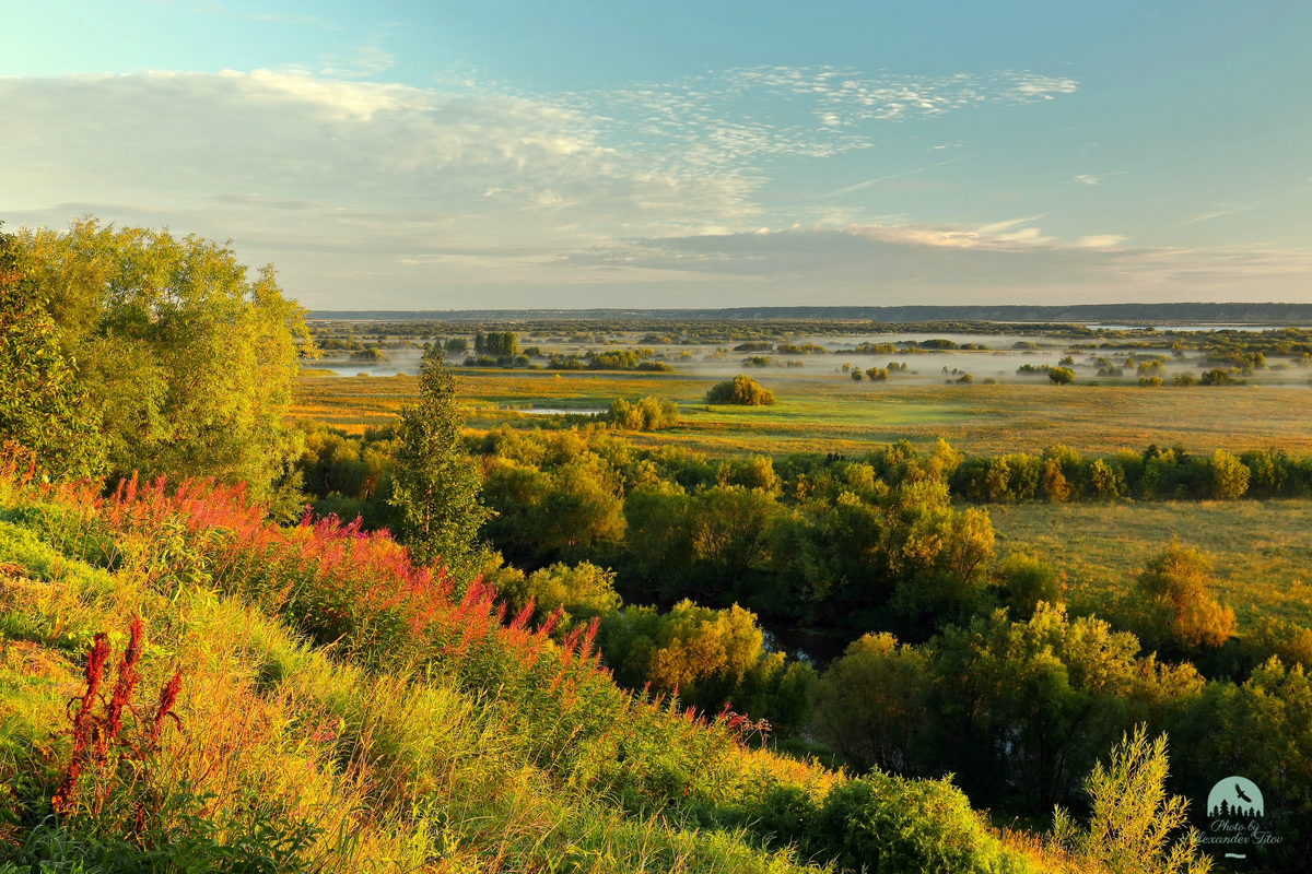 Утро августа природа. Август природа. Утро природа август