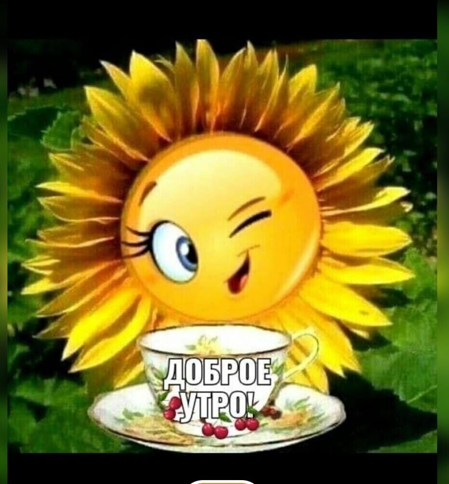 Подсолнух улыбается