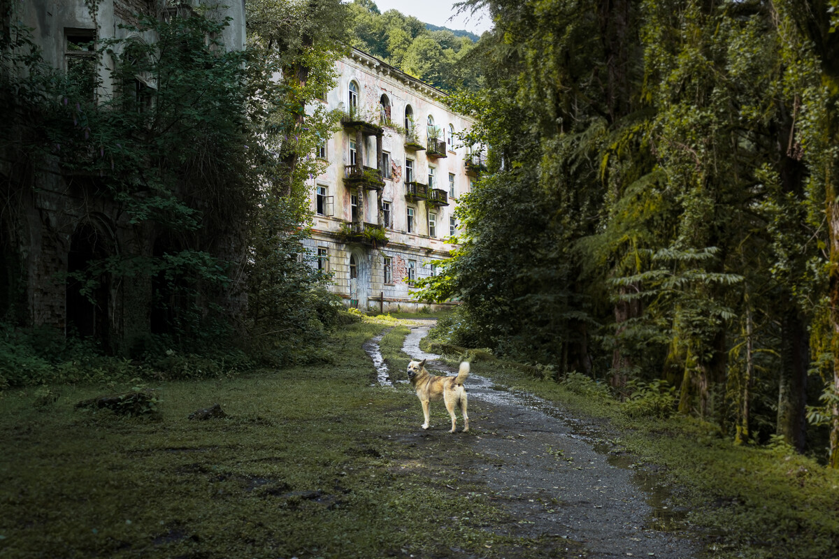 Акармара абхазия фото. Абхазия Ткварчели Акармара. Акармара город-призрак в Абхазии. Заброшенный город в Абхазии Акармара. Поселок призрак Акармара.