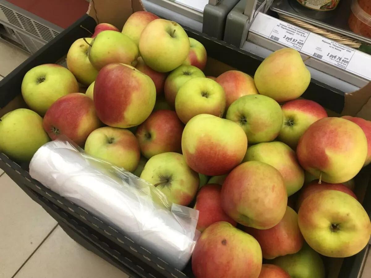 Яблоня сорт секаи ши. Delcorf diana яблоко. Гмо яблоко в разрезе. Секай ичи яблоки. Яблоки для диабетиков.