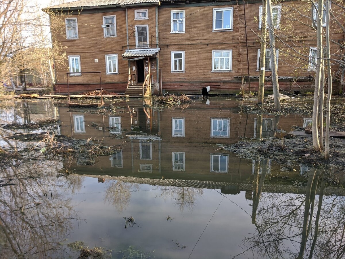 Гидролизный завод архангельск