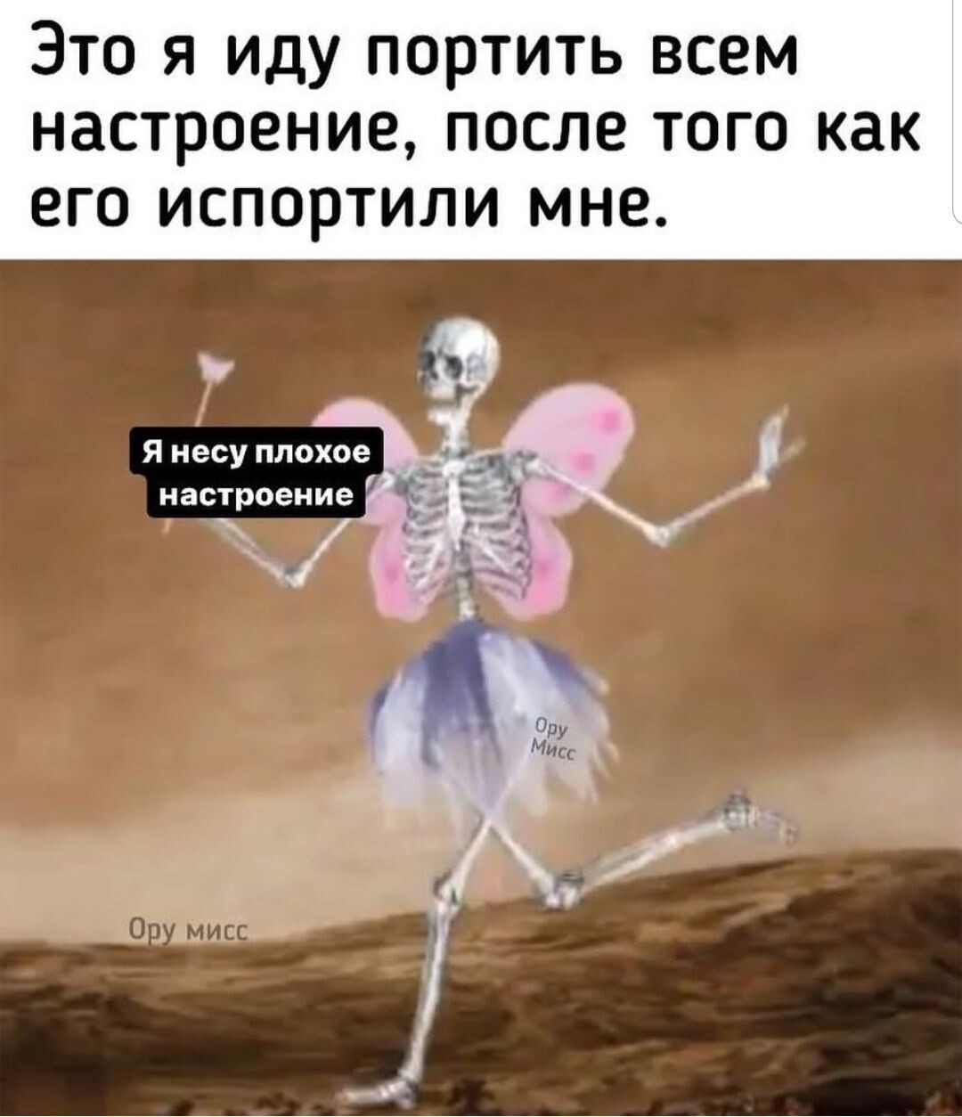 Мисс ору картинки