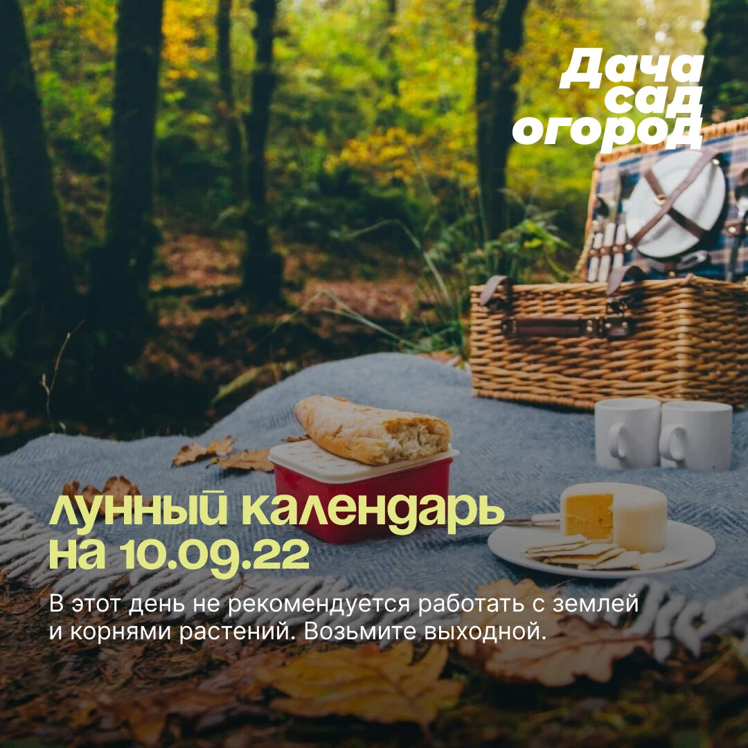 Натусин очаг дзен последнее. Новый очаг дзен