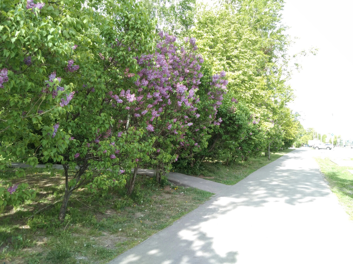 Провинциальная москвичка дзен. Провинциальная москвичка дзен. Анализ активности пользователей. Анализ активности пользователей. Провинциальная москвичка дзен.