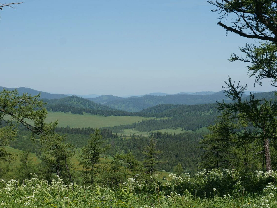 эко поселок седьмое небо алтай. седьмое небо республика алтай. 7 небо алтай. экопоселок 7 небо. эко поселок седьмое небо.