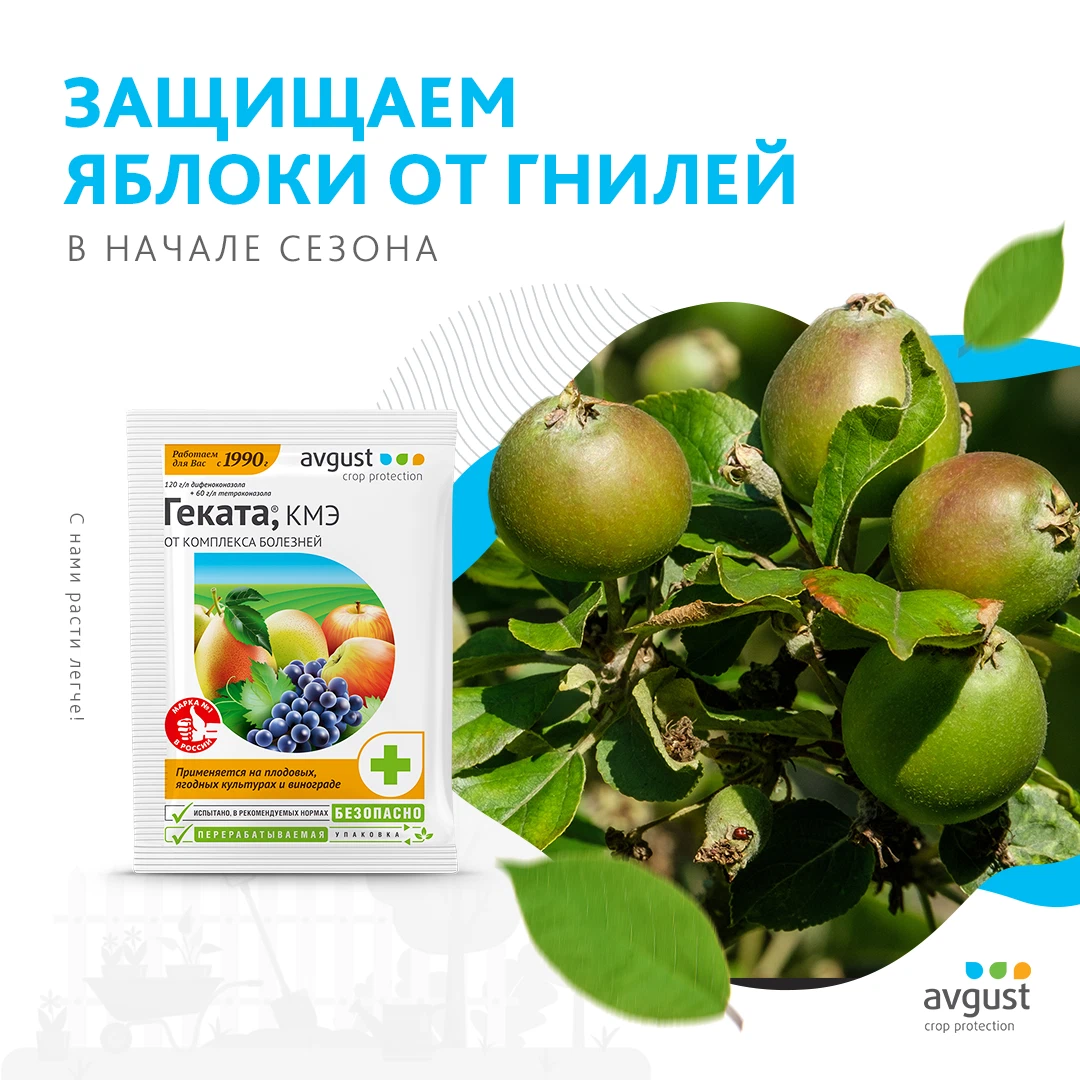 Геката фунгицид. Средство медея для сада. Препарат от гнили плодов. Препараты от монилиоза плодовых деревьев. Медея, мэ (50 + 30 г/л) ампула 5 мл, ф.