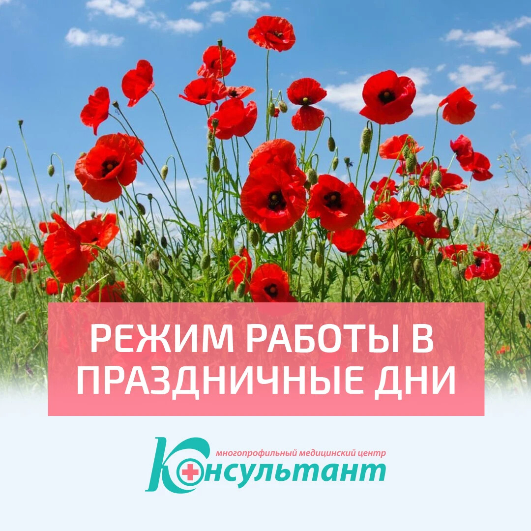 График работы июнь 2024. 13 Июня праздник. 11 Июня праздник. 14 Июня какой праздник. Работа в июне.