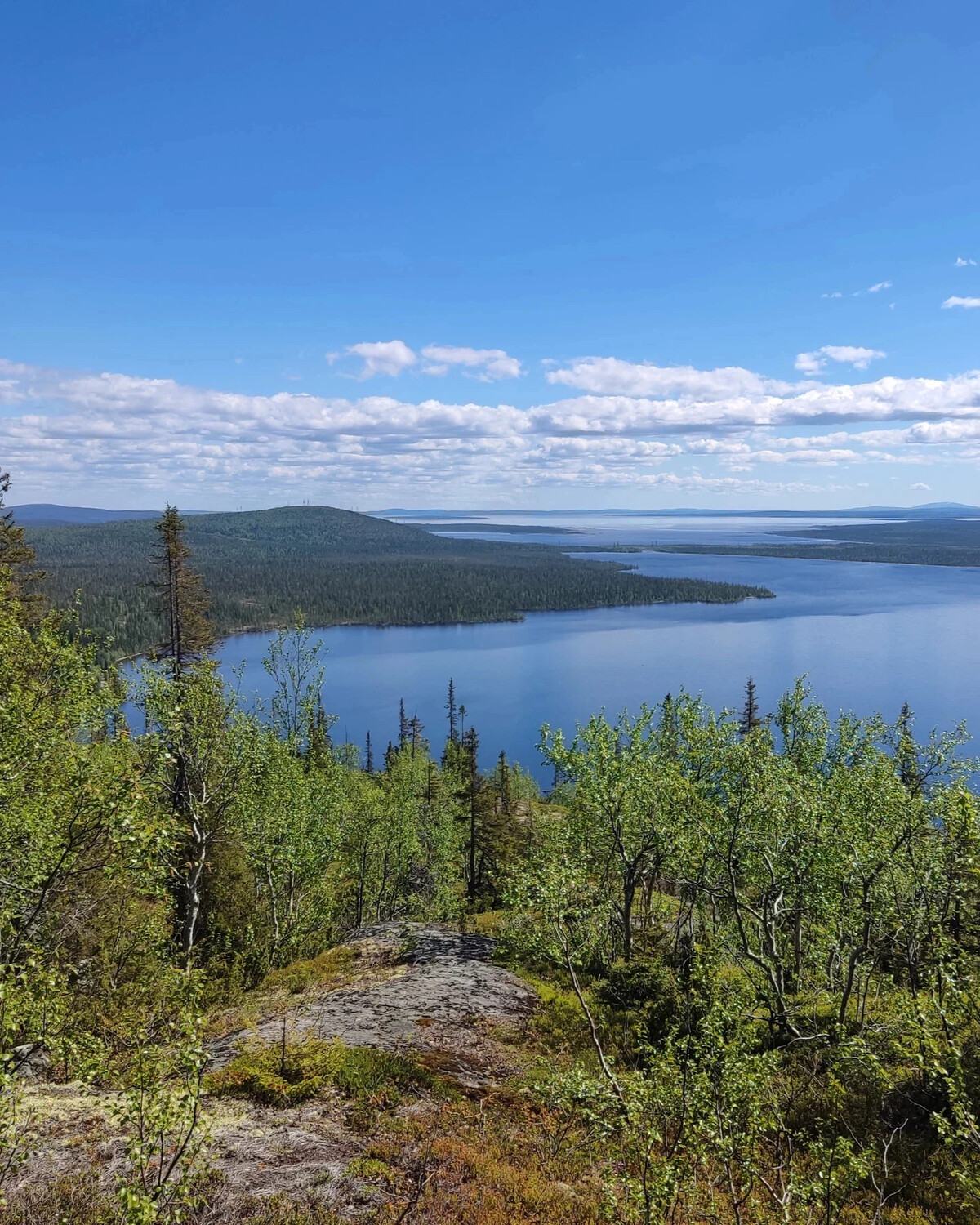 Лапландский заповедник мурманская область