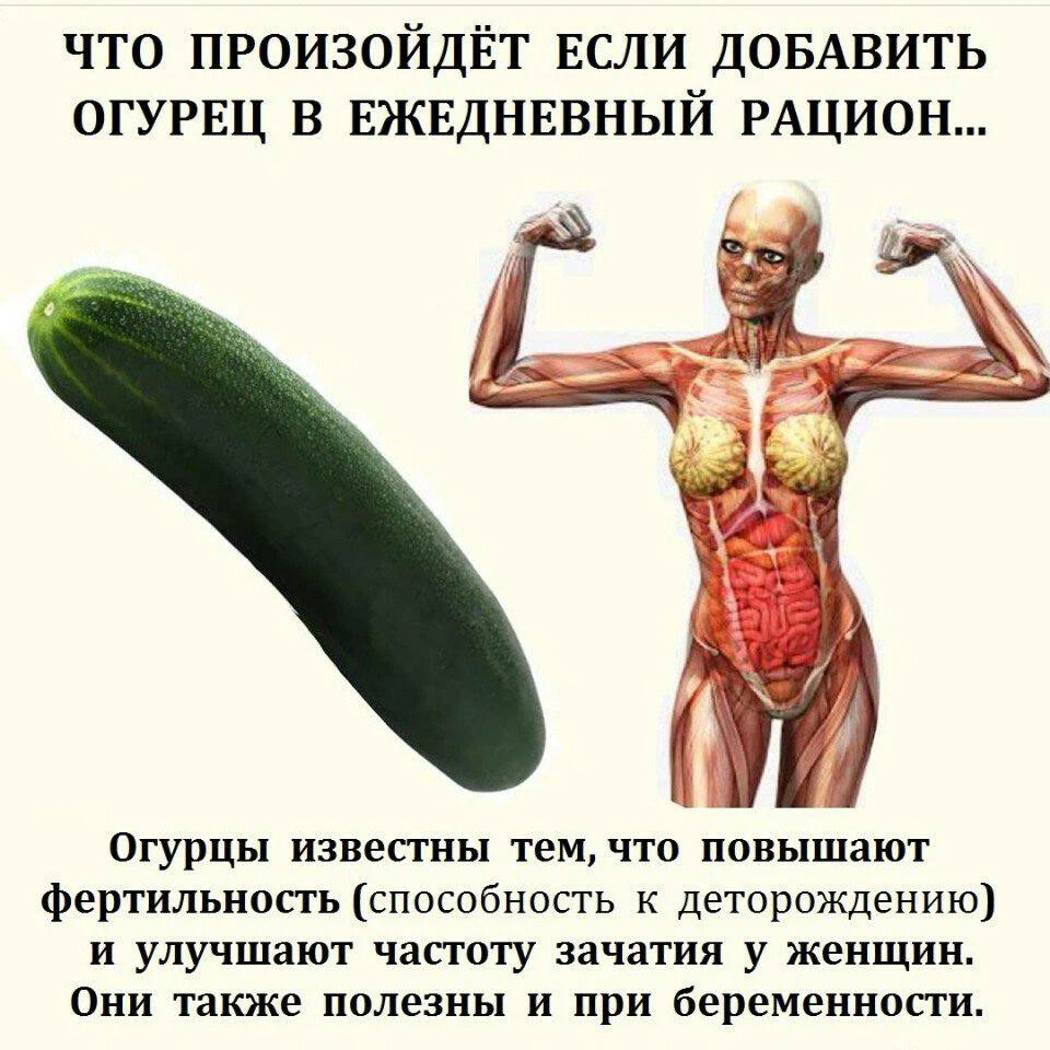 Если будешь есть. Польза огурца для организма. Человек состоит из огурца. Что если питаться только огурцами. Что будет если есть огурцы каждый день.