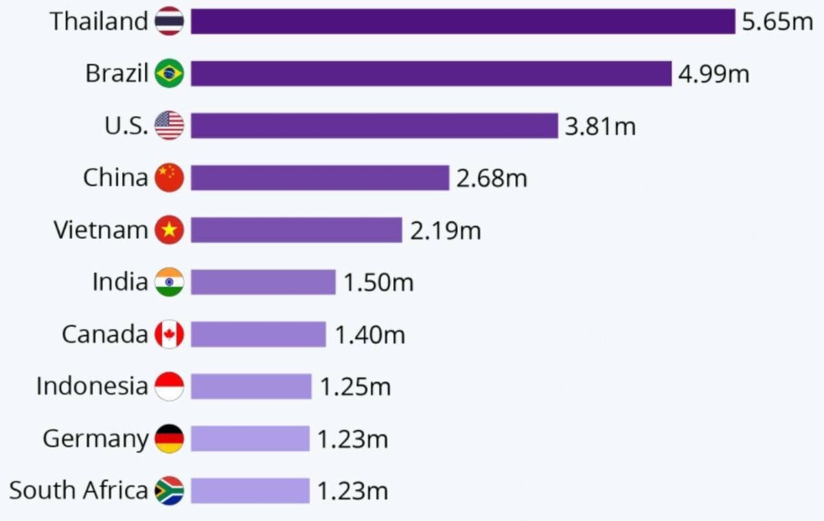 Большинство пользователей. Сколько стран на планете.