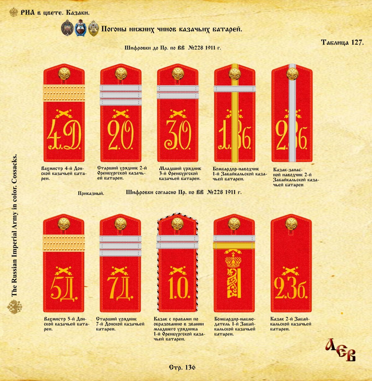 Казачьи погоны и звания нового образца