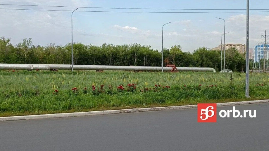 Проезд северный фитнес. Парк на Северном проезде Оренбург. Северный проезд 24 Оренбург. Самородово Оренбург фонтан. Проезд Северный Оренбург 1989 год.