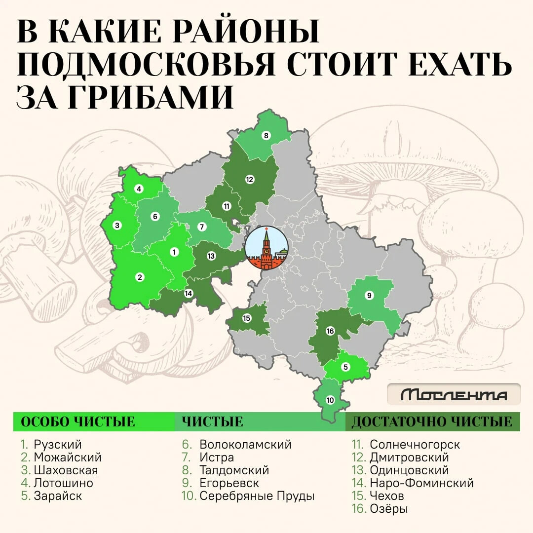 Карта подмосковья 2022