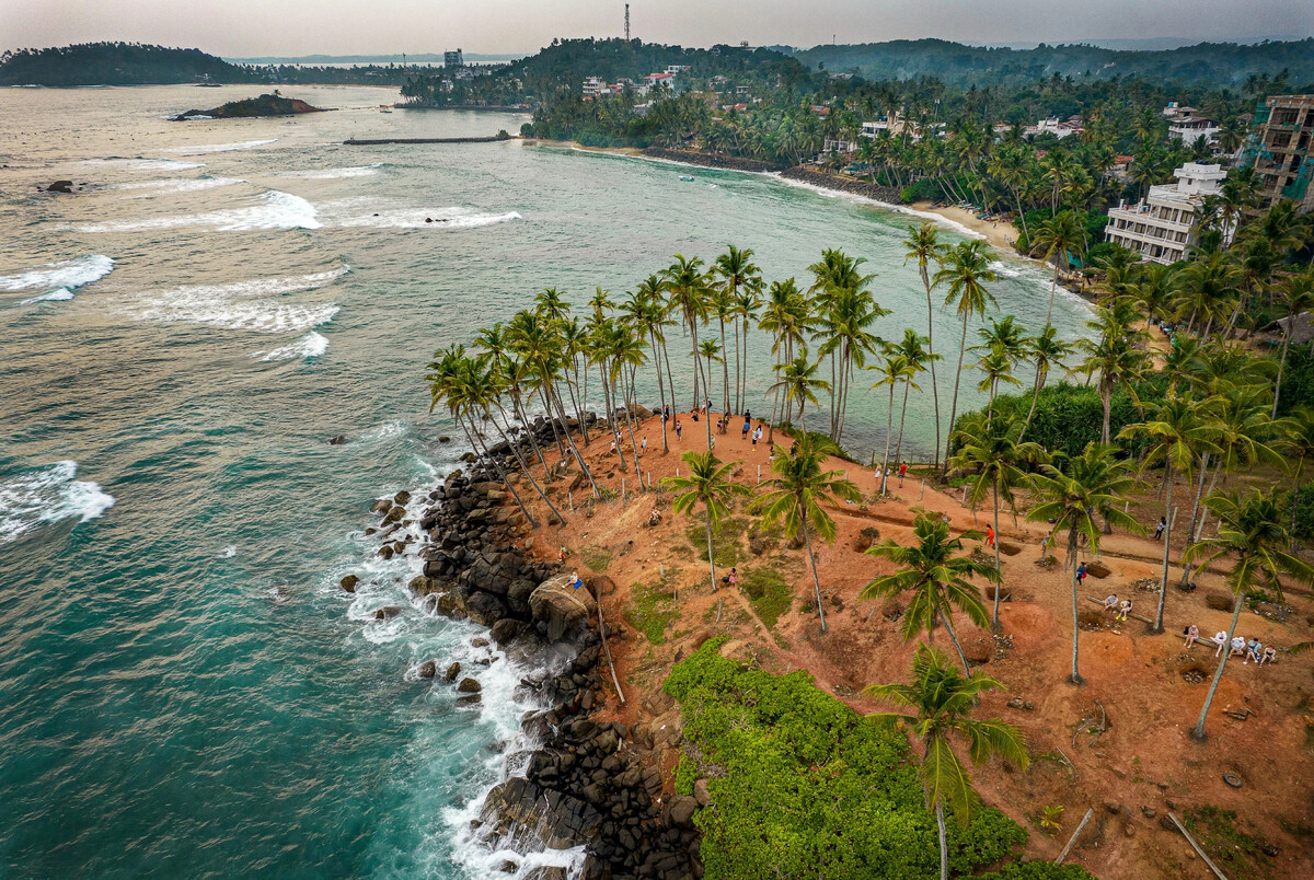 кокосовый орех. Coconut tree hill шри ланка. королевский кокос шри ланка. большие кокосы. море фрукты пляж.