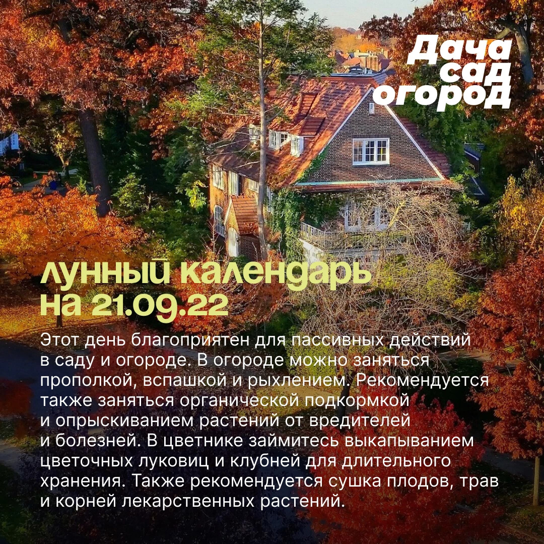 Натусин очаг дзен последнее