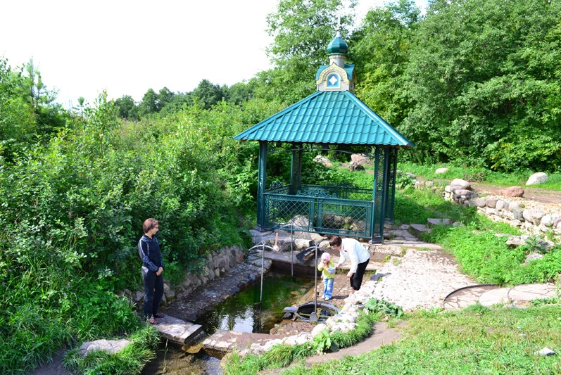 Святой источник Московская область Клин