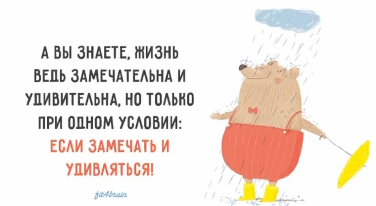 Жизнь продолжается ни на что. Высказывания жизнь прекрасна и удивительна. Жизнь прекрасна и удивительна цитаты. Жизнь прекрасна ни смотря ни на что. Жизнь замечательна и удивительна если замечать и удивляться.