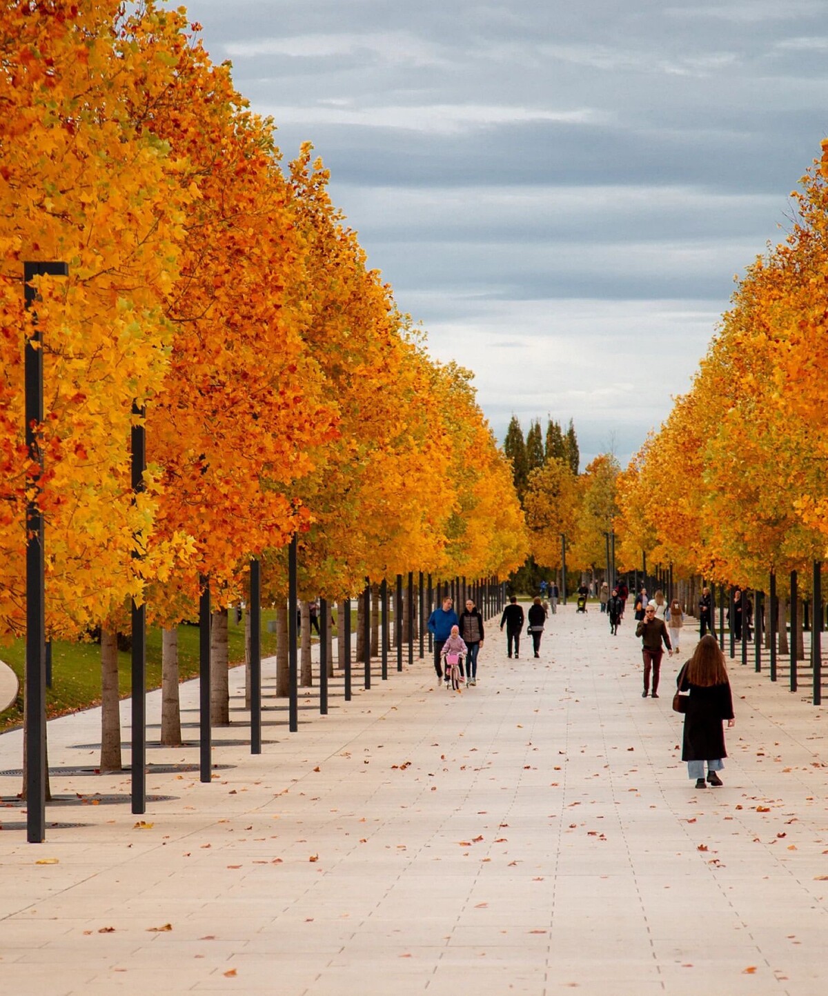 парк галицкого в краснодаре осенью фото