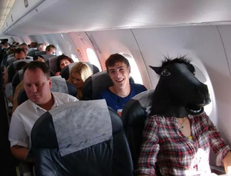 лошадь в самолете. авиаперевозки лошадей. перевозка лошадей в самолете. лошадь в самолете. авиаперевозка лошадей.