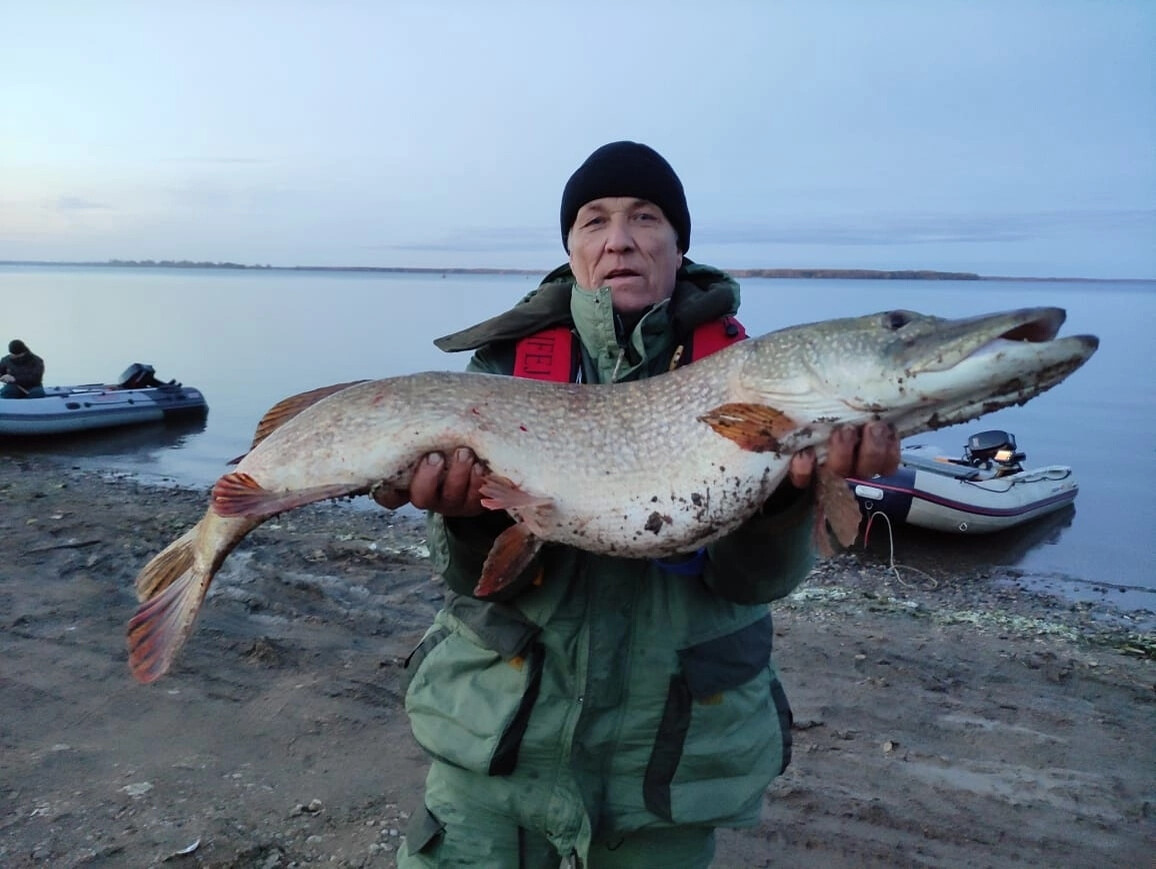 Норстрим. Рыбалка с волгафишинг. Волгафишинг новости с водоёмов. Волжский зимняя рыбалка. Волгафишинг новости с водоемов 2023 2024.