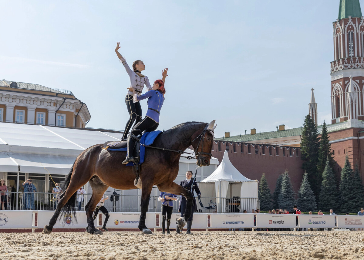 Дисциплины конного спорта