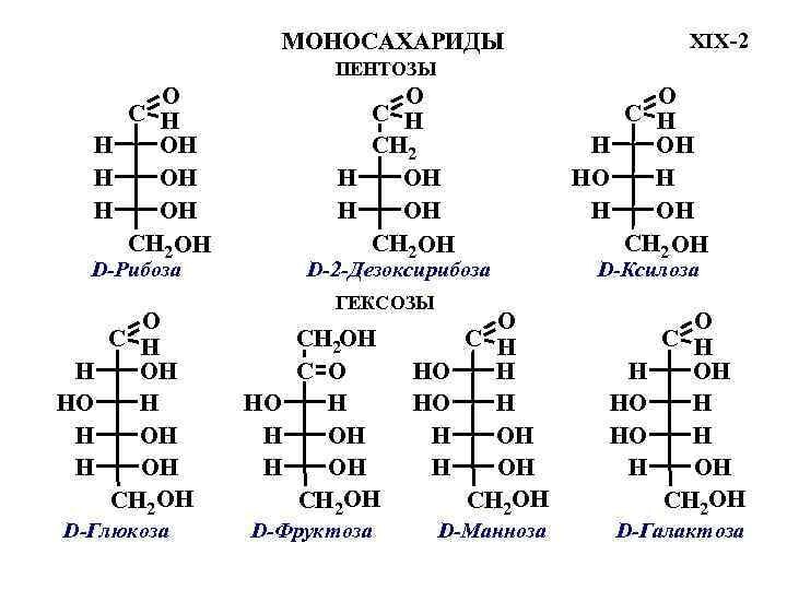 4 глюкоза фруктоза рибоза 1. Формулы важнейших моносахаридов. Строение моносахаридов Фишера. Моносахариды представители формулы. Структурные формулы моносахаридов.