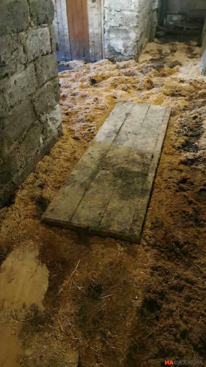 Подвальное помещение в многоквартирном доме. Подвальная 4. Подвал в многоквартирном доме. Подвальное помещение. Подвал в многоэтажном доме.