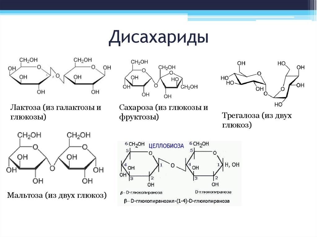 Схема образования дисахарида лактозы