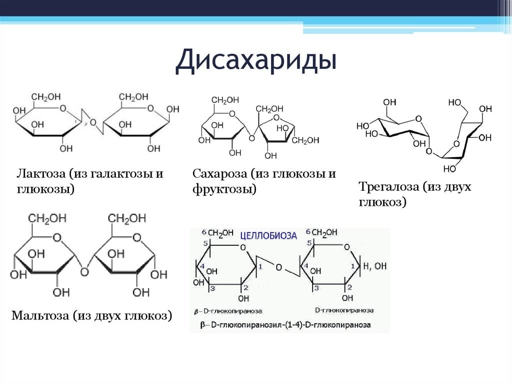 Схема синтеза трегалозы