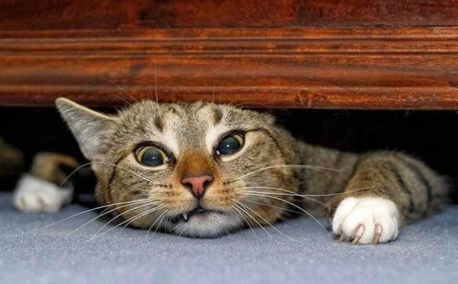 Результаты эксперимента