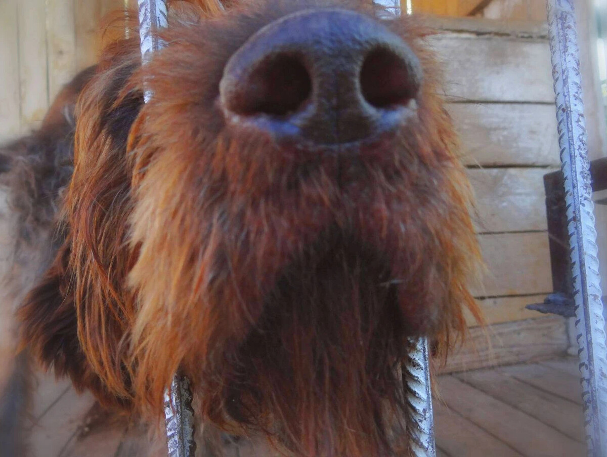 ??Чуешь? Осенью пахнуло! Запах осени существует. И у него есть вполне ...