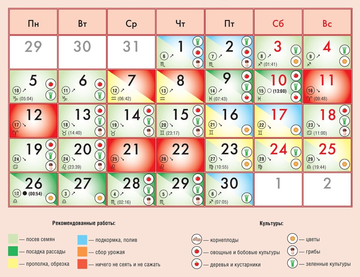 Удачный календарь 25 год