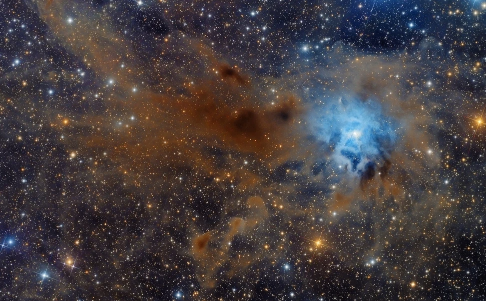 Световой год в космосе. Туманность Ирис NGC 7023. Монжаро это космос. Iris Nebula. Iris Nebula косплей.