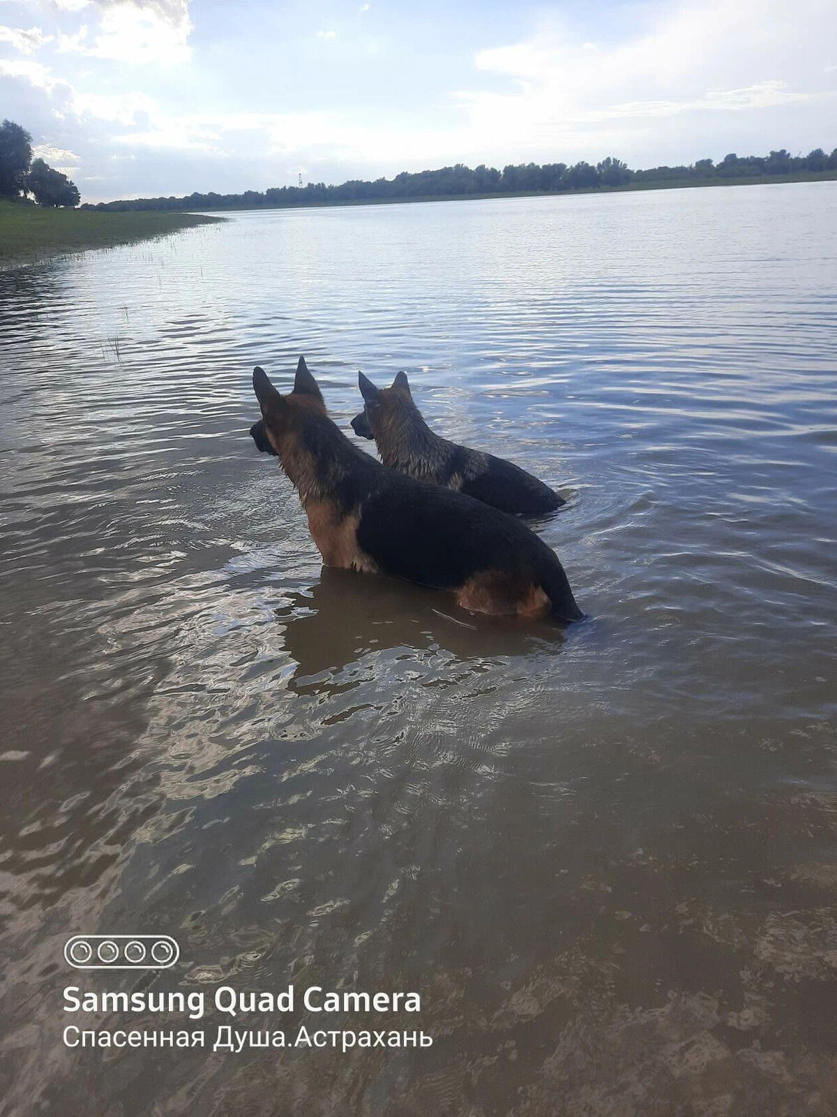 приют спасенная душа астрахань