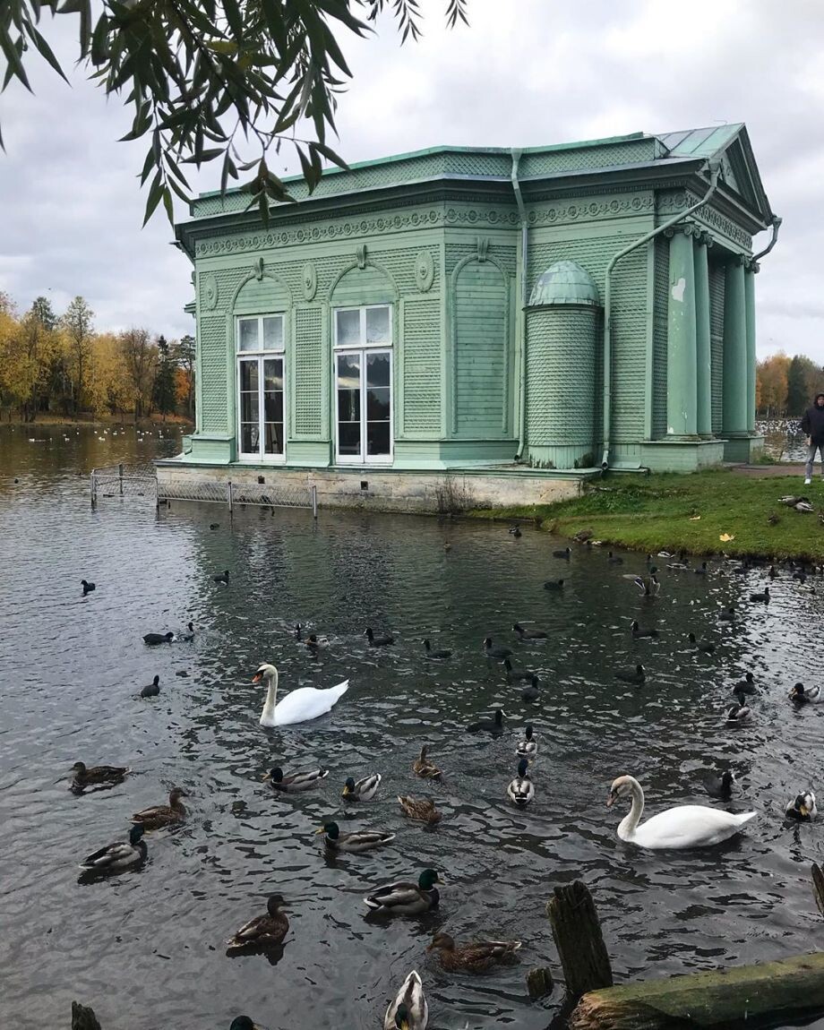 гатчина ленинградская область фото