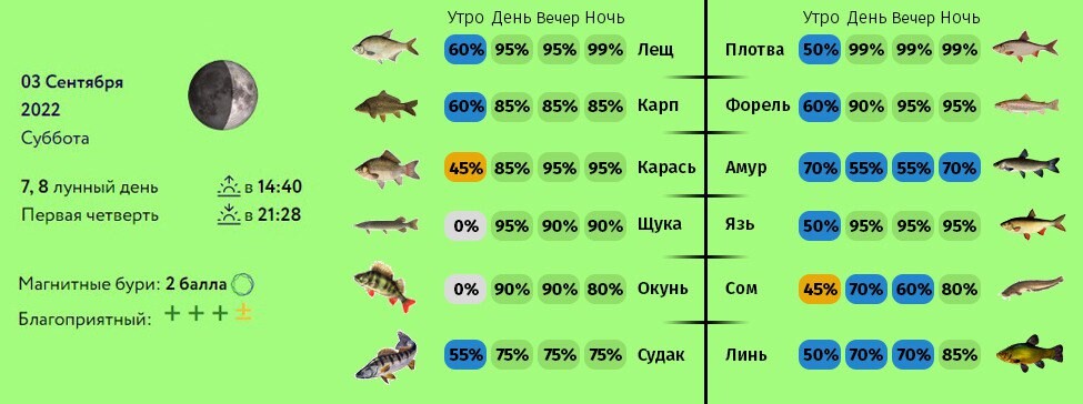 Прогноз клева вышний волочек. Клев щуки. Фаза Луны на клев щуки. Клёв щуки на год. Клёв щуки в сентябре.