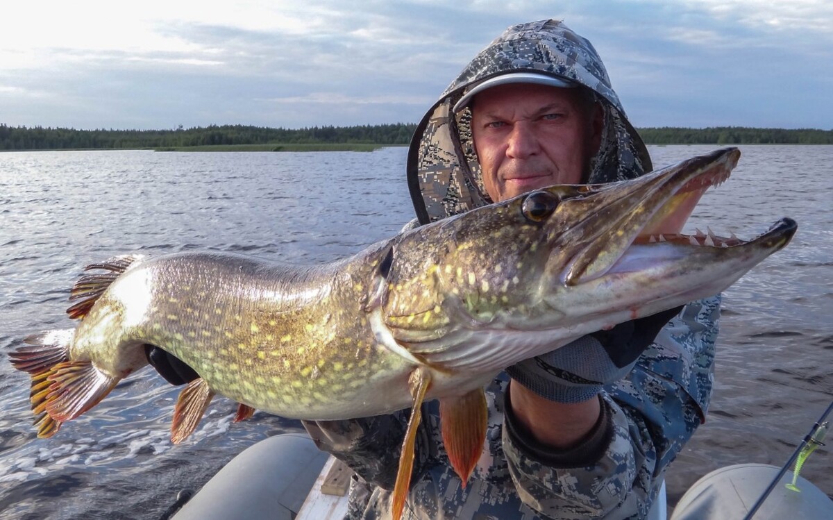 Fishing max. Fishing max. рыбалка и макс курск. логотип zander. Fishing max.