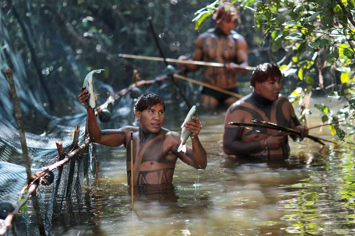 Племя синта Ларга в Бразилии