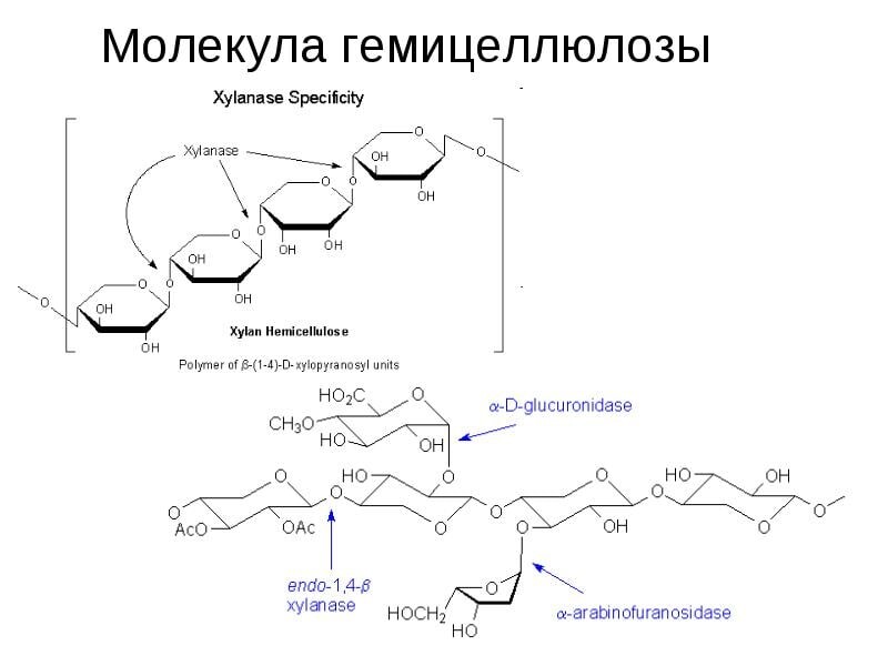 Продуктом гидролиза целлюлозы является. Гемицеллюлоза формула химическая. Гемицеллюлоза структурная формула. Целлюлоза лигнин гемицеллюлоза. Гемицеллюлоза строение.