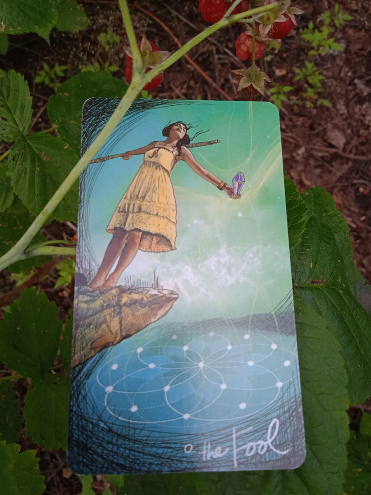 карта дня от александры