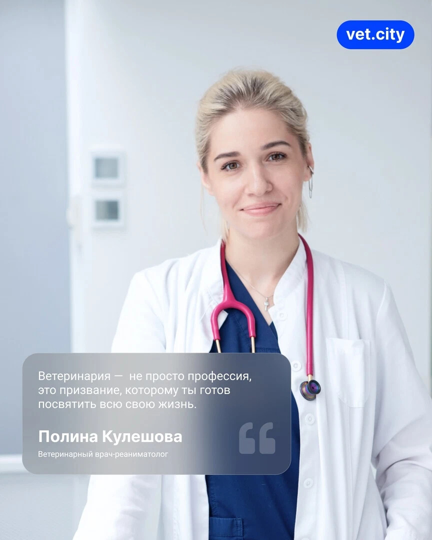 Vetcity clinic москва. Кулешова врач. Кулешова мой доктор. Vetcity Clinic Зубарев пер., 7, Москва фото и видео.