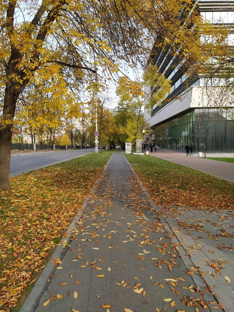 Осень ЕКБ