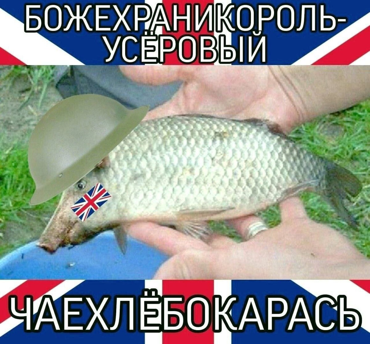 Швайнокарась