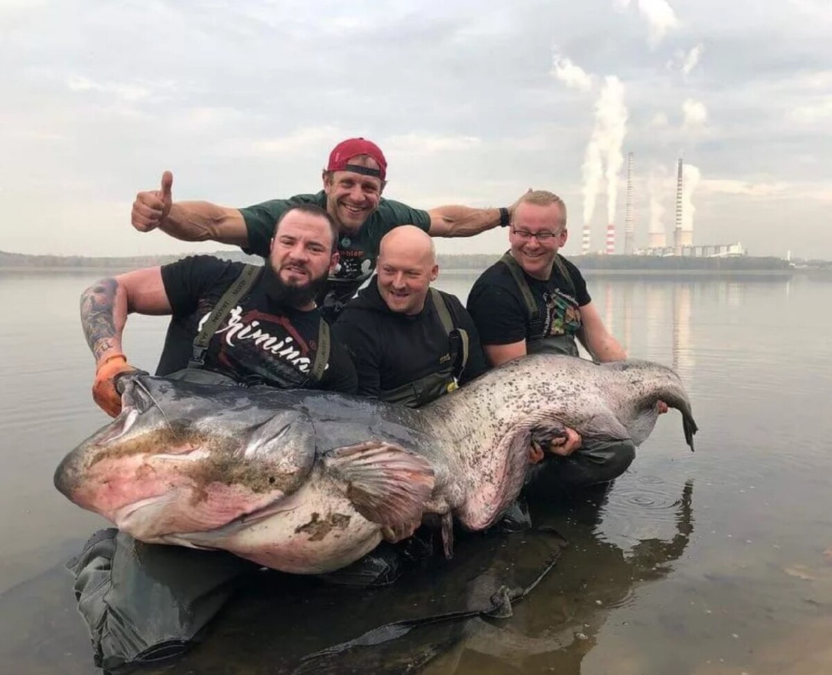 Рыбаки с крупной рыбой