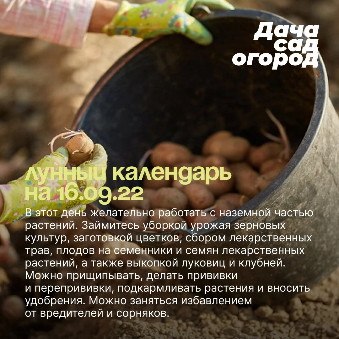 Натусин очаг дзен последнее. Натусин очаг дзен последнее. Натусин очаг. Натусин очаг дзен последнее. Натусин очаг дзен последнее.