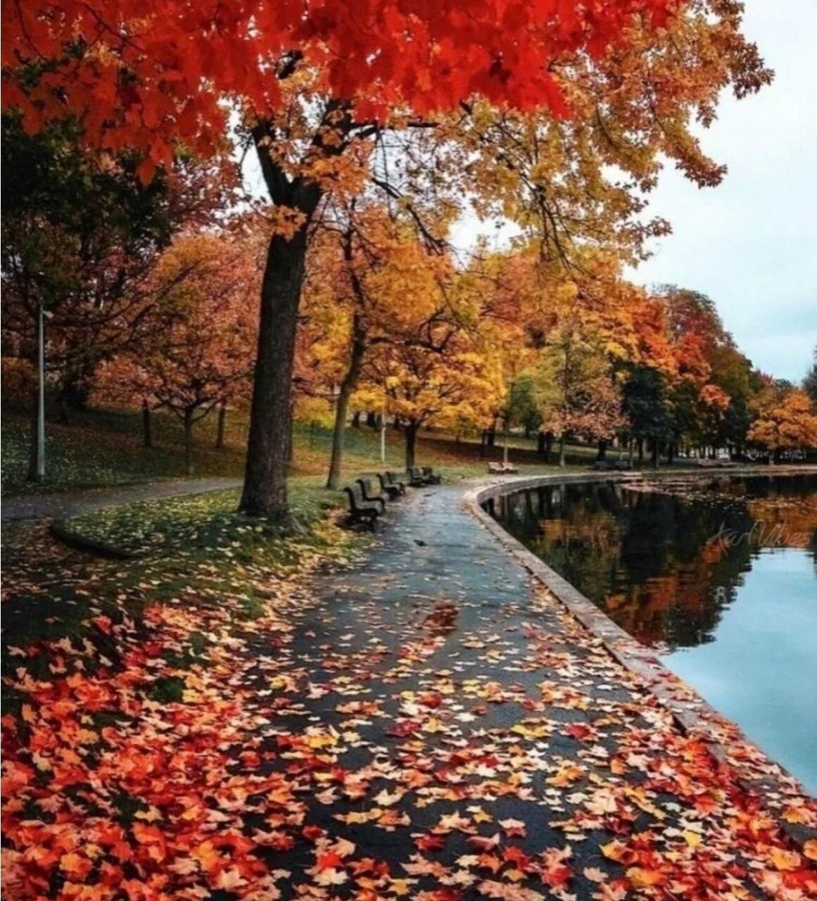 Виды осени. Красивая осень. Природа осень. Красота осени. Осенот.