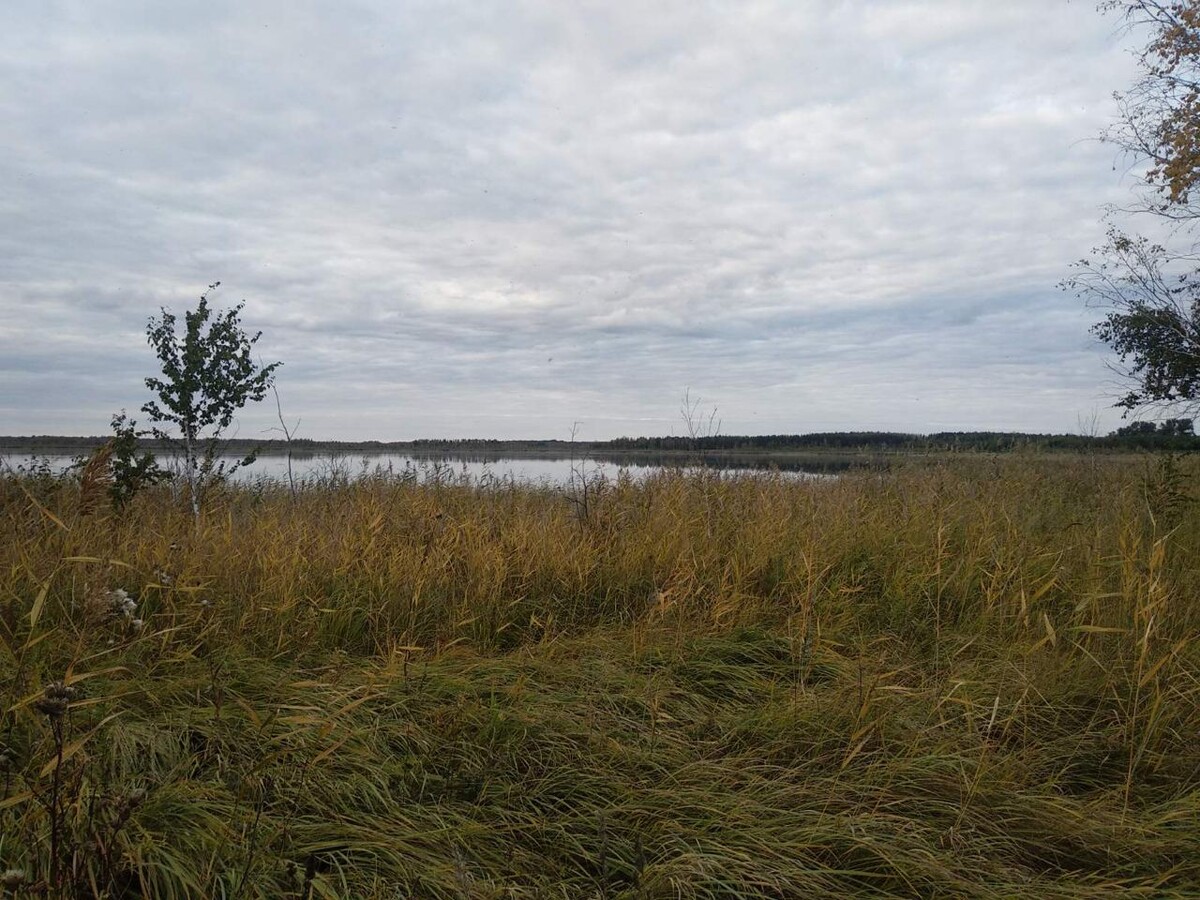 озеро патронное курганская область