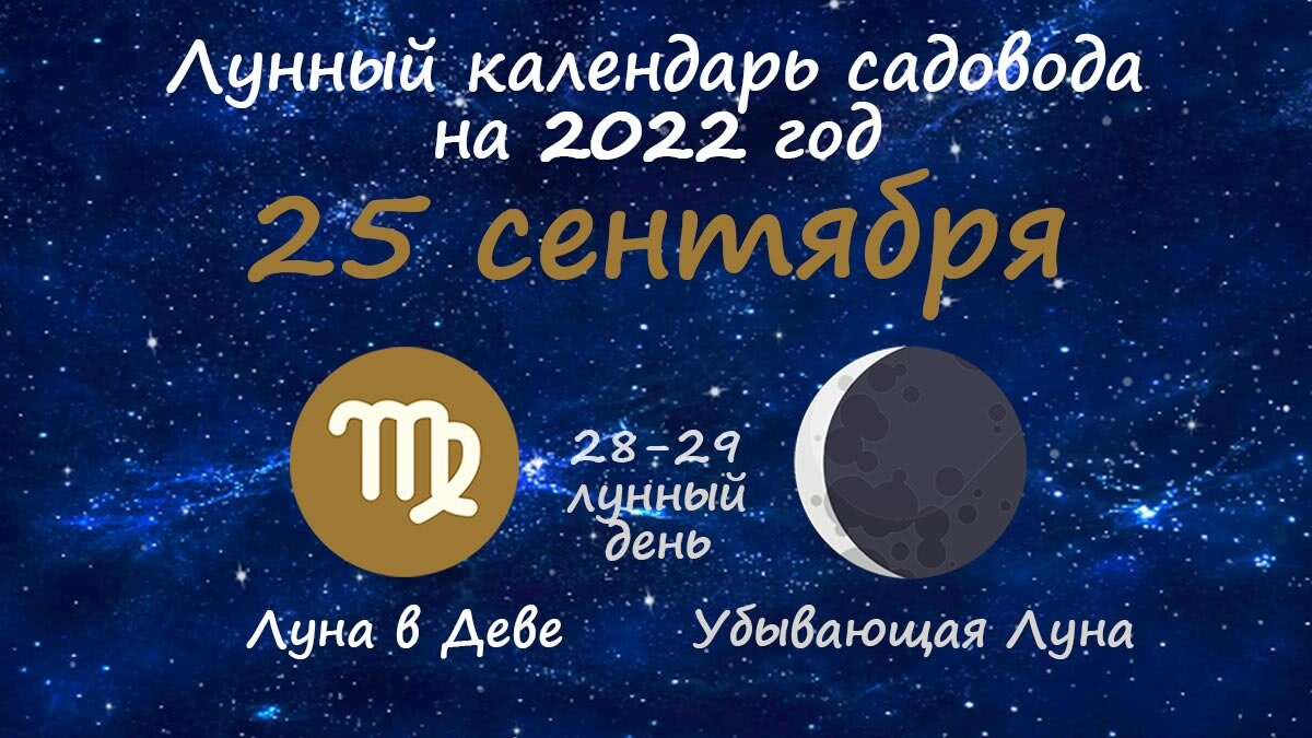 Фазы луны. Луна 2023 год. Ближайшее полнолуние. Рыболовный лунный календарь на 2023 год. Убывающая луна в январе феврале.