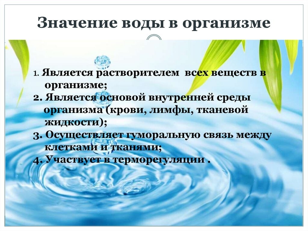 Пользуясь выделенными в тексте главными положениями урока составь план на тему значение воды