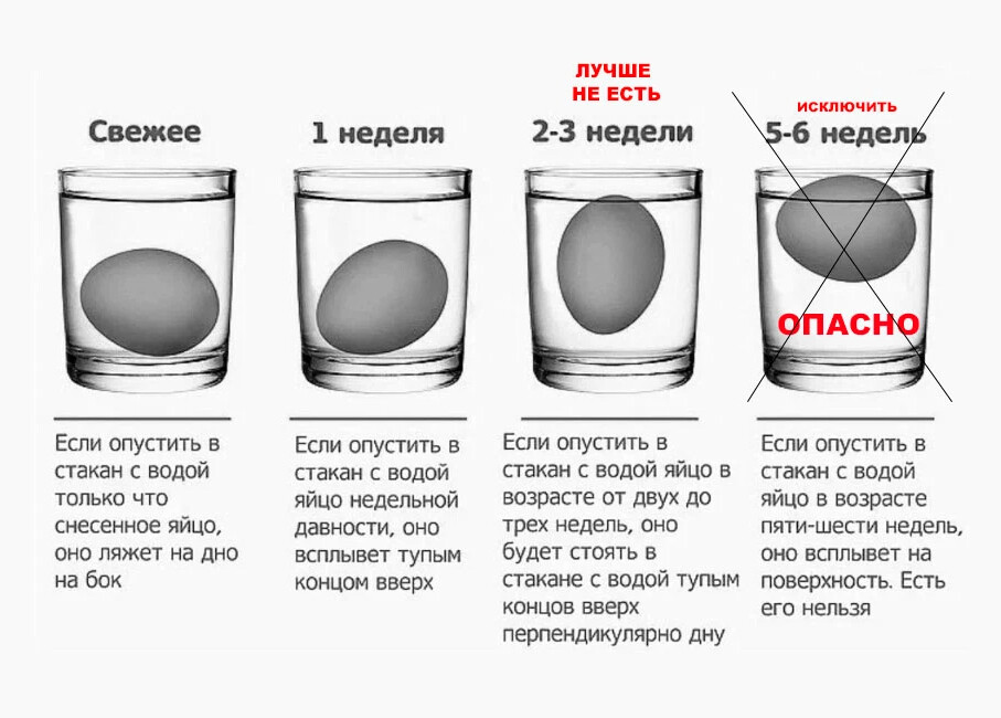 Проверить яйца на свежесть в воде домашних. Свежесть яиц. Как проверить яйца на свежесть. Как проверить что яйцо свежее. Как понять свежесть яйца.